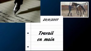 Milady 28/6/2017 - Travail en main