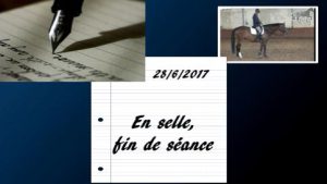 Milady 28/6/2017 - Travail en selle, exercices récapitulatifs