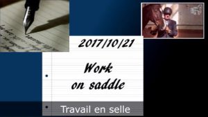 Milady 21/10/2017 - Travail en selle