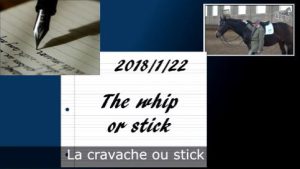 Milady 22/1/2018 - Le stick