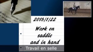 Milady 22/1/2018 - Travail en selle et en main