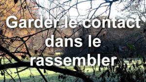 Garder le contact dans le rassembler