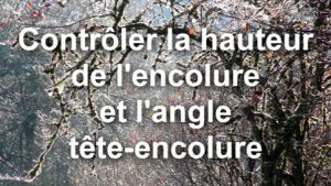 Contrôler la hauteur de l'encolure et l'angle tête-encolure