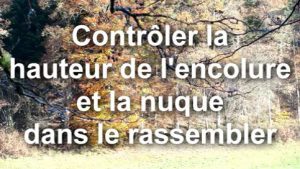 Contrôler la hauteur de l'encolure et la nuque dans le rassembler