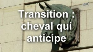 Cheval qui anticipe