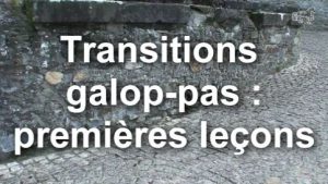 Transitions galop-pas : premières leçons