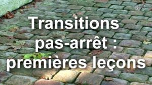 Transition pas-arrêt : premières leçons