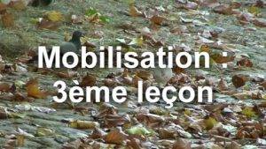 Mobilisation diagonale : 3ème leçon