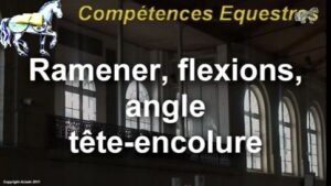 Ramener/flexion, angle tête-encolure (extraits)