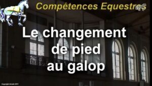 Le changement de pied au galop (extraits)