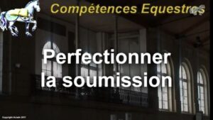 Perfectionner la soumission (extraits)