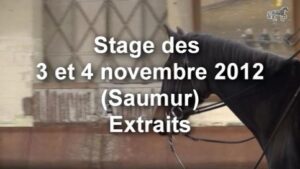 Compte-rendu du stage des 3 et 4 novembre 2012 à Saumur