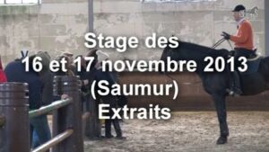 Compte-rendu du stage des 16 et 17 novembre 2013 à Saumur