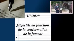 Milady 3/7/2020 - Objectifs en fonction de la conformation de la jument