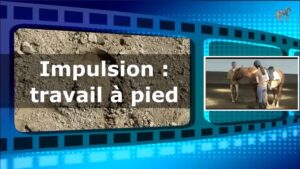 L'impulsion