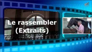 Rassembler (extraits)