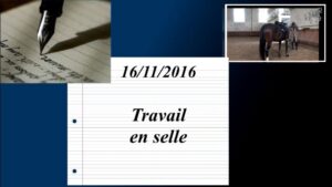 Milady 16/11/2016 - Travail en selle
